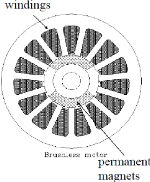 Fig. 2.1 shows the section structure of a brushless motor. We can see that the  windings are in the stator