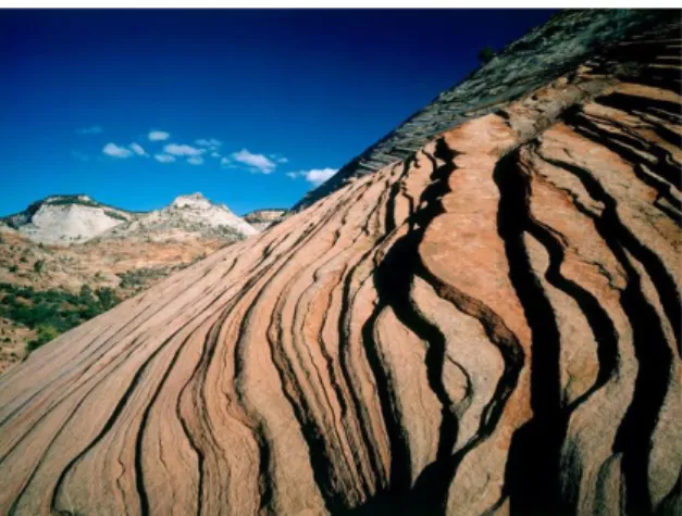 Figure 1.2: Sedimentary rock of the Zion national Park (Utah): layering is one of the main reason of permeability anisotropy in rocks