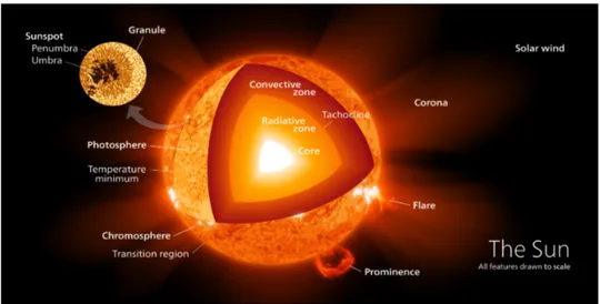 Figure 2.1: Visualization of the interior structure of the Sun. [12]