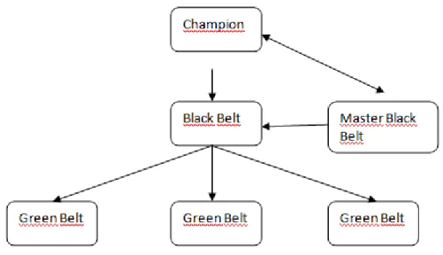 Figure 3: Organization  of Six Sigma