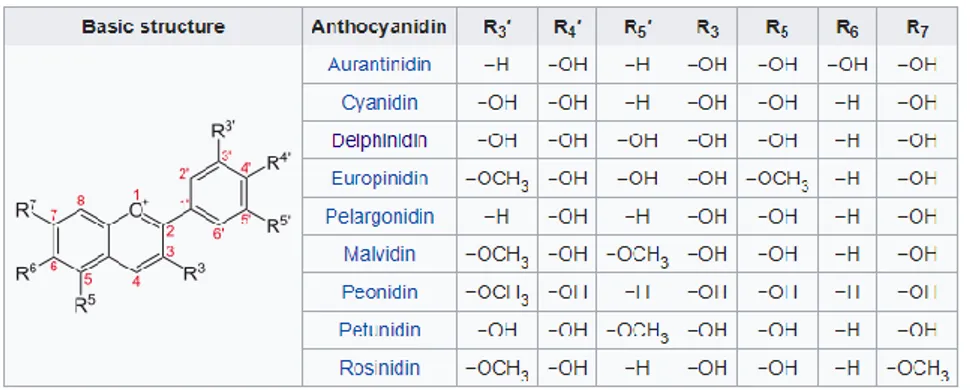 Figure 27 - General structure of anthocyanidins, and the position of functional groups characteristic  of some species
