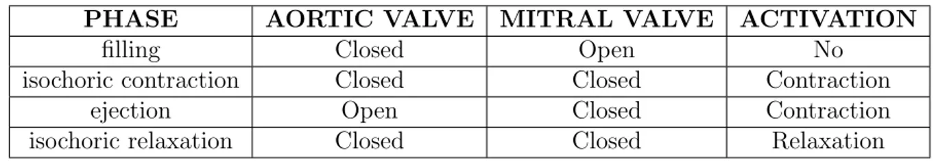 Table 4.1: Physiological values of the end phase pressure for each phase.