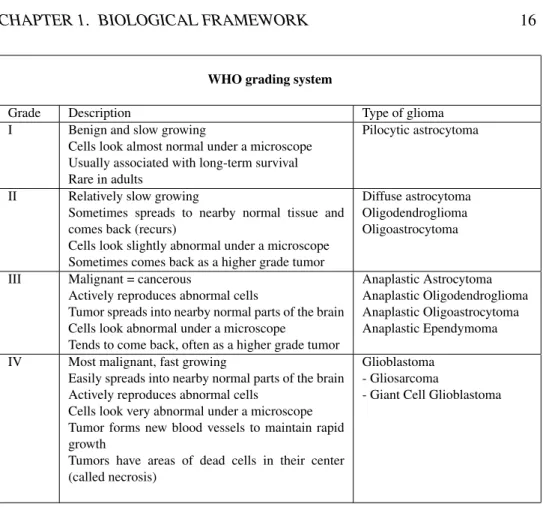 Table 1.2: WHO grading system applied to gliomas: grade I is assigned to the more circumscribed tumors with low proliferative potential, grade II defines diffusely infiltrative tumours, grade III is assigned to those showing anaplasia and mitotic activity 