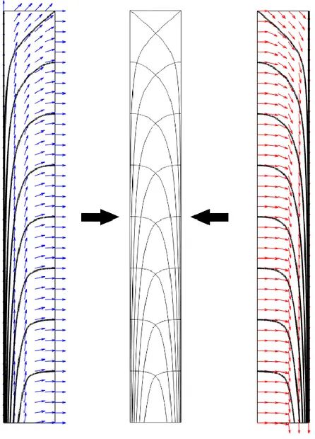 Figure 5.4 Principal stresses trajectories for 2D cantilever problem under transversal uniform  distributed load, tension trajectories (right) and compression trajectories (left) 