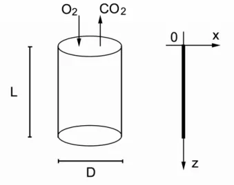 Figure 4.1: 1D domain