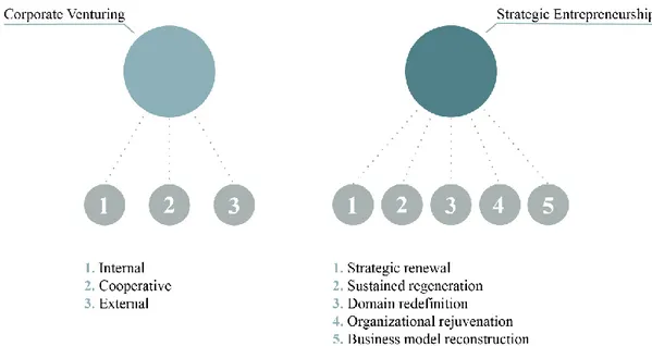 Figure 4. Forms of Corporate Entrepreneurship. Dark blue intends a different level of analysis