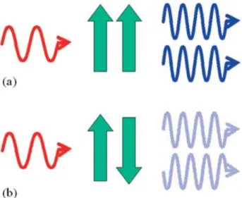 Figure 2.4: The HRS from two molecules located close together. (a) If the molecules are parallel, their HRS is in phase and interferes constructively