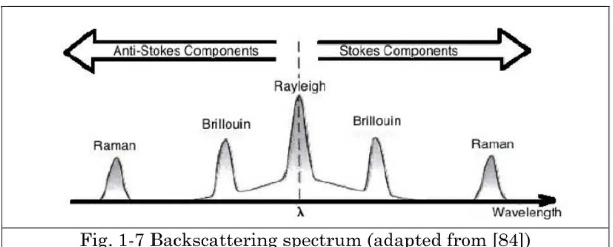 Fig. 1-7 Backscattering spectrum (adapted from [84]) 