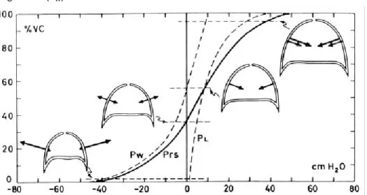 Figure 1.5: Static curves of the lungs (P L ), of the chest wall (P W ) and of the lungs-plus-chest wall  (P rs )