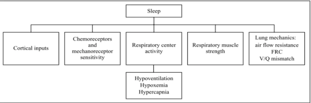 Figure 1.31 -The principal factors that operate in controlling breathing during sleep  (FRC: functional residual capacity) 