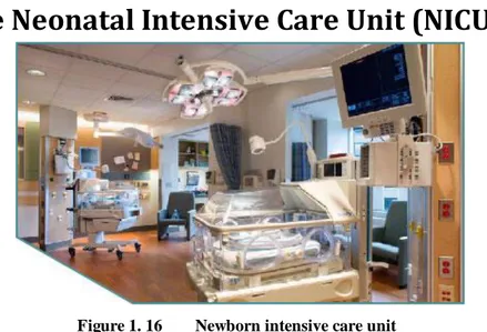 Figure 1. 16    Newborn intensive care unit  