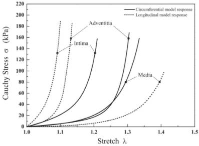 Figure 19: Stress-strain curves for the three tunicae of coronary artery wall [40].