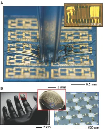 Figure  1.1  -  Examples  of  stretchable  electronics.  A)  Stretchable  silicon  circuit  in  a  wavy  geometry,  compressed  in  its  center  by  a  glass  capillary  tube  (main)  and  wavy  logic  gate  built  with  two  transistors  (top  right  inse
