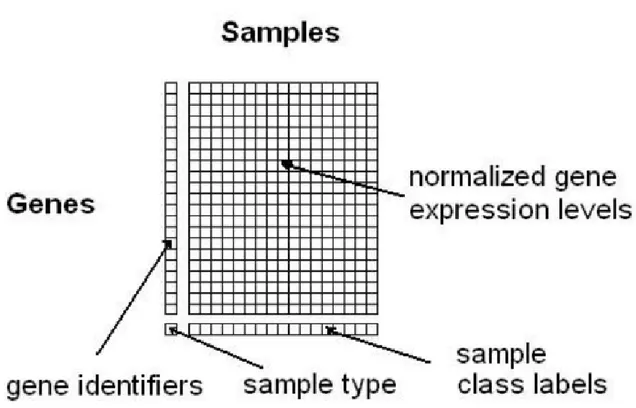 Fig. 4.7 An illustration of gene expression matrix