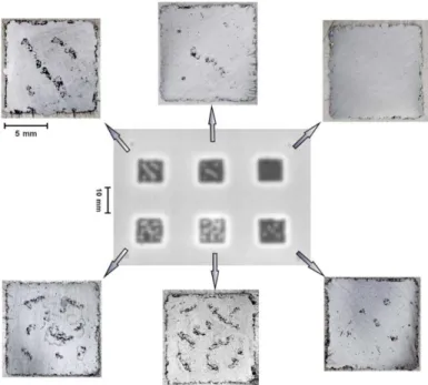 Fig 2.13: al centro l’immagine rilevata dalla camera IR, intorno le sezioni dei sei prodotti finiti  	
  