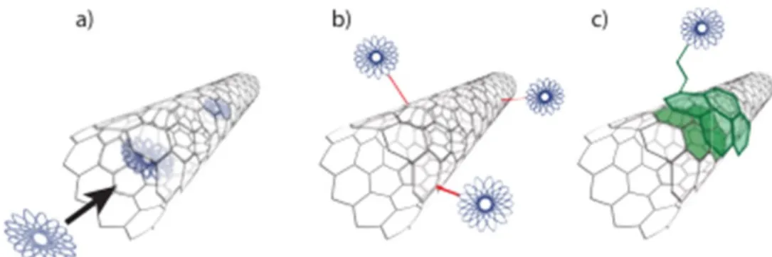 Figure  14  highlights  the  three  main  methodologies  used  to  functionalize  single  walled  carbon  nanotube:  (a)  the  endohedral  functionalization;  (b)  covalent;  (c)  noncovalent  exohedral  functionalization approaches