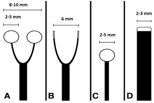 Figure 1.2  Schematic of probes used for  bipolar stimulation with ball tips (A) or straight  tips (B) and for monopolar stimulations with a ball tip (C) or straight tip (D) [Adapted from  Szelènyi et al