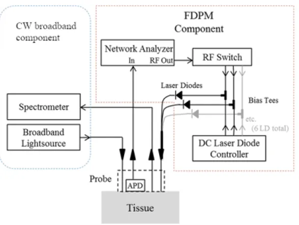 Figure 1.3: A block diagram of a frequency domain photon migration instrumentation complemented with a broadband CW instrument