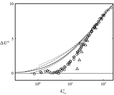 Figure 2.3: Roughness Function. Adapted by Jiménez [28].
