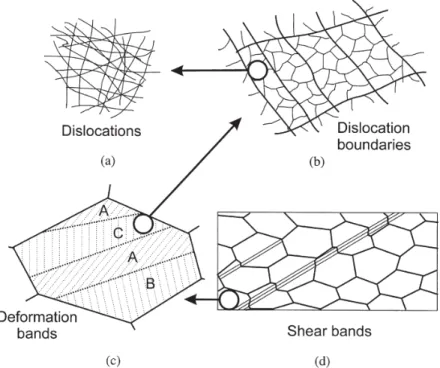 Fig. 2.1 The hierarchy of microstructure in a polycrystalline metal deforming by slip