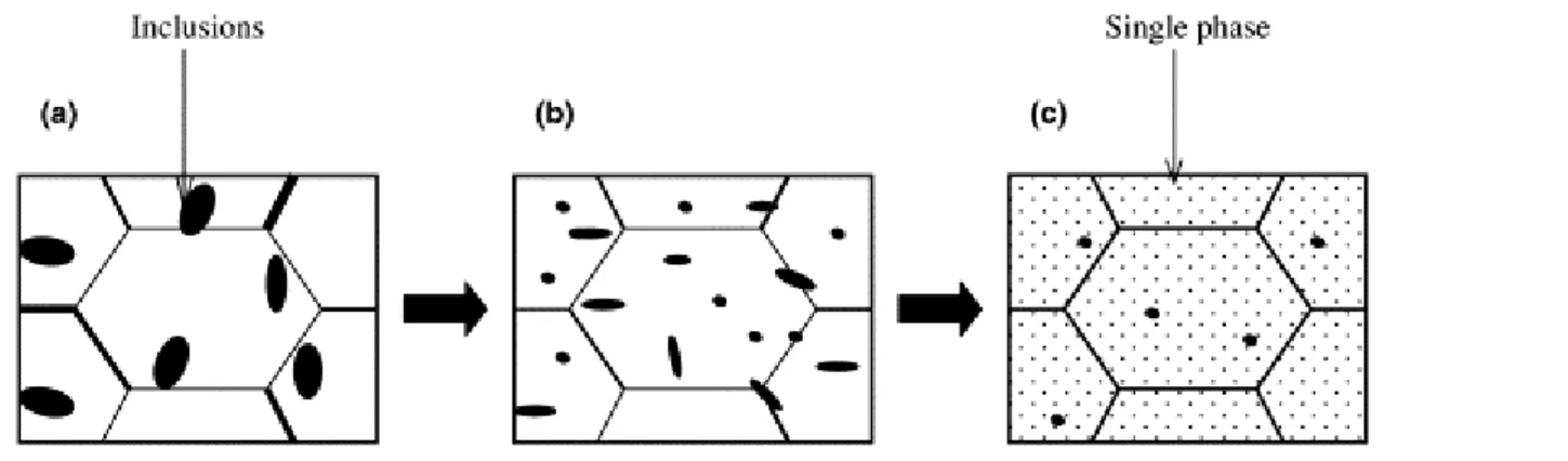 Fig. 1.1 Schematic diagram showing the microstructure evolution for the material: (a) at the beginning of  SHT; (b) intermediate SHT; (c) close to finishing SHT [4]