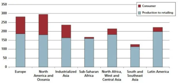 Figure 1.2 – 90 % of food wastage in developing countries occurs in the supply chain (Strahan, 2015).