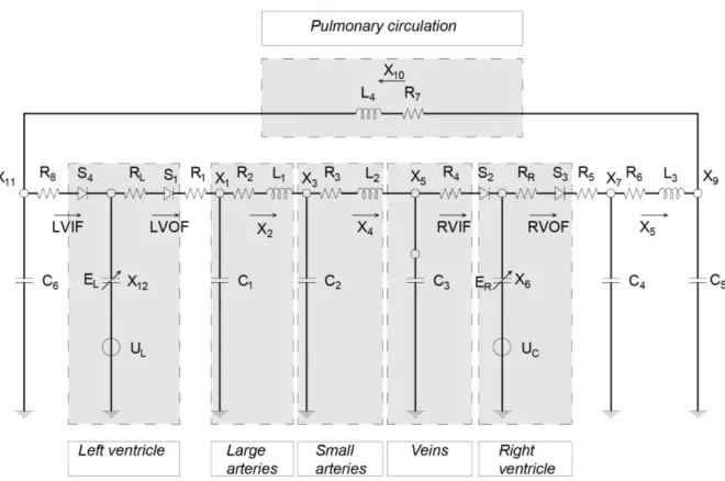 Figure 3.22: Physiological compartments described in the model of the cardiovascular system 