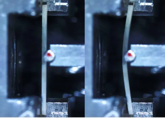 Figure 2 - Initial frame showcasing specimen placing on the test setup (left). Last frame  showing curvature of the same sample before rupture (right)