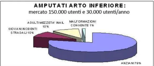 Figura 1.2, Cause di amputazione in Italia 