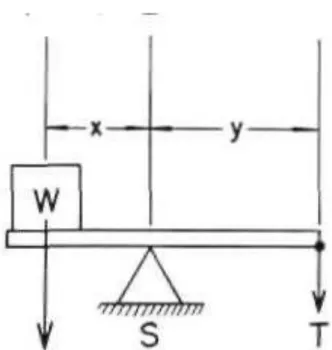 Figura 2.6, Equilibrio in direzione medio-laterale tramite il principio delle leve 