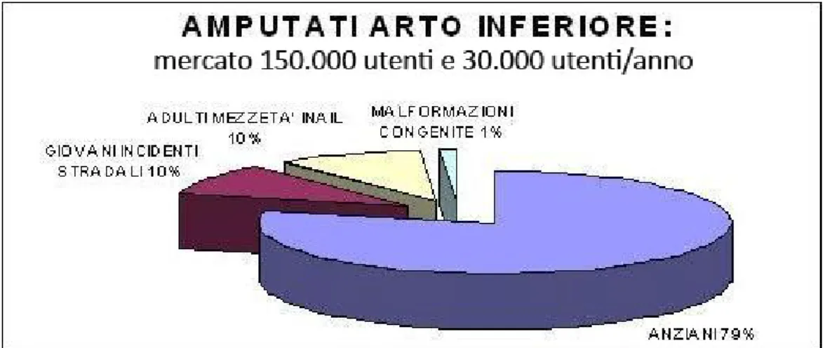 Figura 1.2, Cause di amputazione in Italia