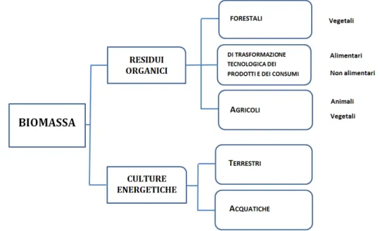 Figura 1.3 - Classificazione della Biomassa [4] 