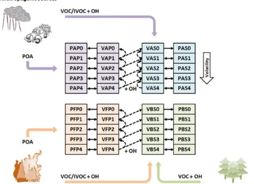 Figura 2.4: Diagramma schematico del modulo VBS implementato in CAMx (ENVIRON 2016). Le frecce colorate rappresentano le emissioni di POA o l’ossidazione dei precursori di SOA, mentre le frecce nere tratteggiate indicano l’aging chimico, mentre quelle pien