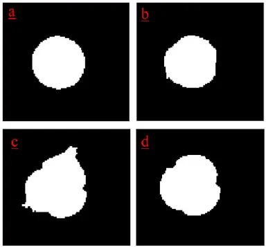 Figura  25: maschere binarie ottenute da segmentazione  relative al frame selezionato dall’utente sulle slice  1(a), s2(b), 3(c), 4(d)