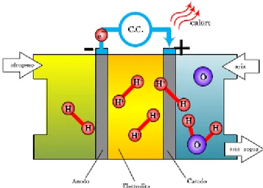 Figura 1.5 Schematizzazione della reazione chimica operata all'interno delle fuel cells.