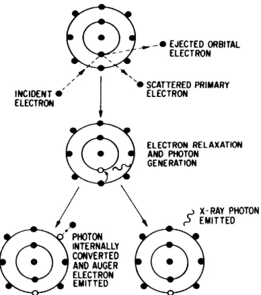 Figura 8.5: Eccitazione dell'elettrone che manifesta raggi X caratteristici   o elettroni Augers