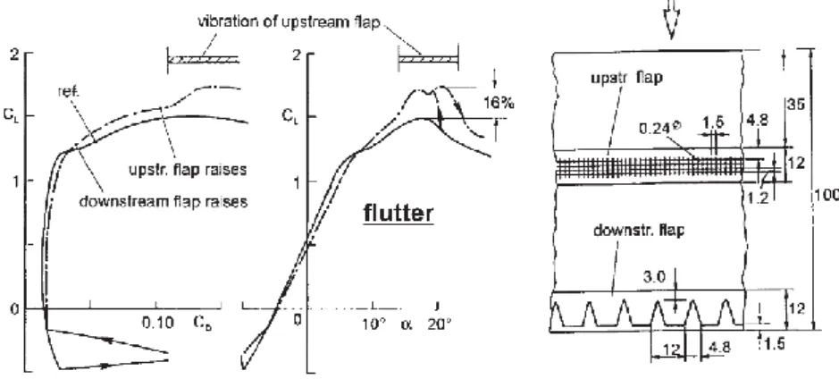 Figura 1.2.5 Risultati ottenuti con flap oscillante 