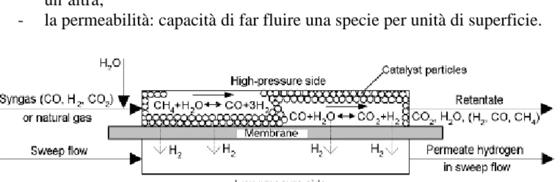 Figura 1.6. Esempio di una membrana per la separazione di gas. 