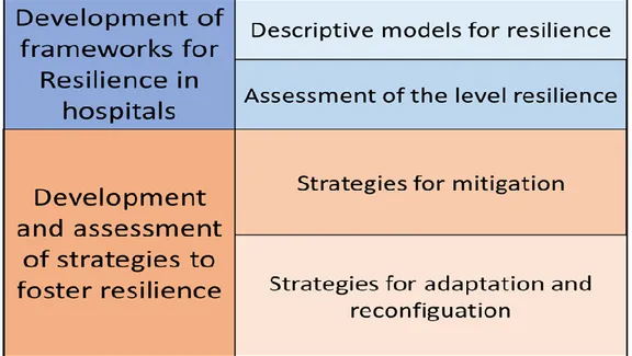 Figure 6 Resilience, representation logic