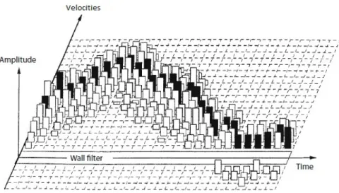 Figure 1.10: 3D Doppler frequency spectrum, showing the distribution of individual frequency shifts (Amplitudes), flow direction (above and below the zero-flow line, which is the time axis) and flow velocities (proportional to the Doppler frequency shifts)