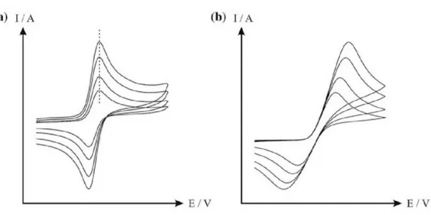 Figure 8. Reversible (a) and irreversible (b) CV responses. When the scan rate is enhanced, the peak  maxima intensity increases (both in a and in b) and a potential shift occurs in the irreversible case (b)