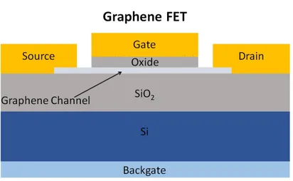 Figure 1.5: Structure of a GFET. Since the device is fabricated on a highly doped silicon chip, it is possible to use it as a dual gate device