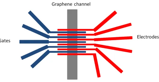 Figure 1.18: Design used to realize the devices. The gates are in blue, while the electrodes are in red