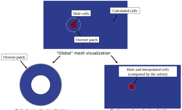 Figure 2.6: cellTypes visualization of the final mesh and its component meshes, each of them identified by a specific zoneID