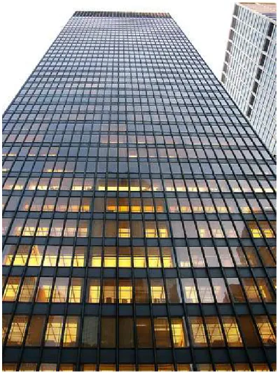 Fig. 23 Particolare della facciata, Segram Building