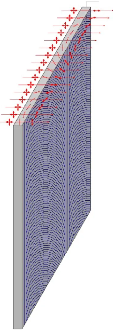 Fig.  091  –  Rappresentazione  di  un  filtro  WGF  con  nano  pattern  costituito  da  filamenti  strutturati  in  fasce  longitudinali  caratterizzate da differenti assi di polarizzazione 