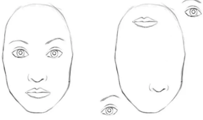 Figure  4:  this  figure  represents  two  imagines.  One  is  a  human  face  the  other  image  has  the  same  elements of the first one but placed in a different and obviously wrong order