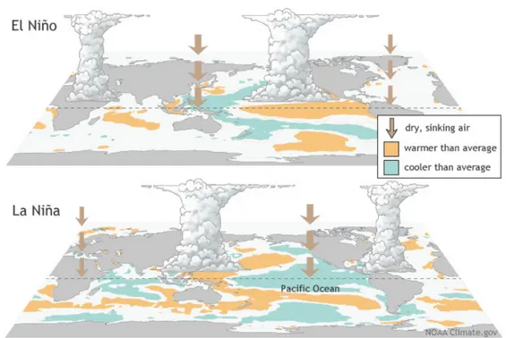Figure 2.3: Representation of both El Niño and La Niña, figure by National Oceanic and Atmospheric Administration.