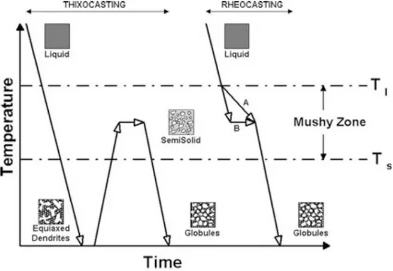 Figure 13  Schematic representations of SSM processes