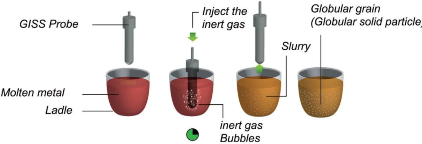 Figure 24. Schematic representation of the steps in the GISS technique 